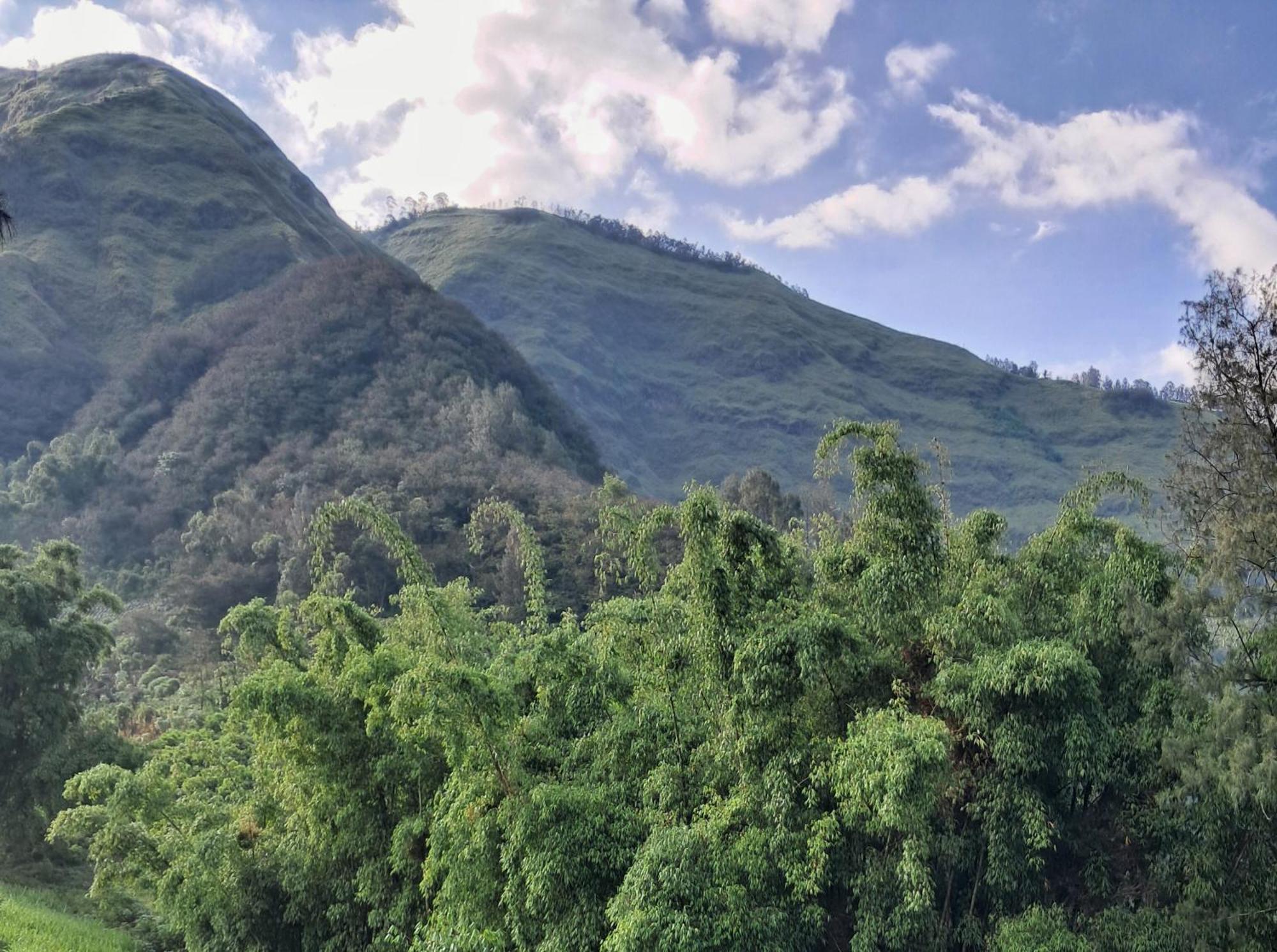 Bromo Dormitory & Cabin Dış mekan fotoğraf